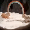 Connection (a woman and a juvenile polar bear thinking a rainbow)