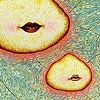 Baby-Mouthed Potato Buns in Orbit