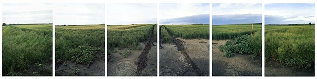 Tracks, Missouri