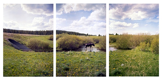 Moose, Idaho