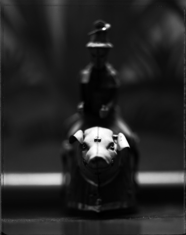 Pig Rider