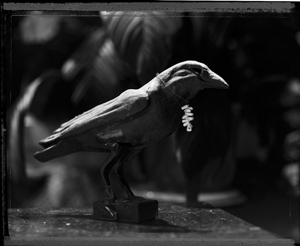 Crow