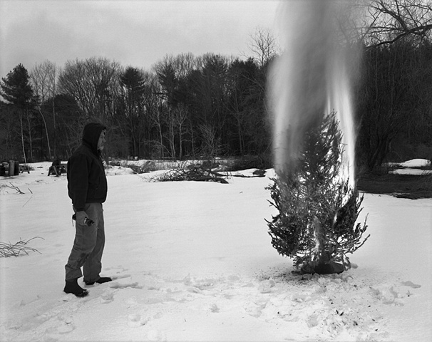Burning Tree