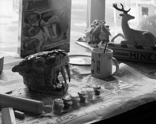 Saber Tooth Still life