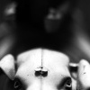 Pig Rider