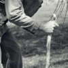 Classic Yard Work