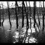 High Water