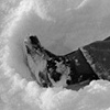 Snow Angel