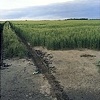Tracks, Missouri