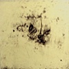 Love & Squalor Series