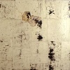 Love & Squalor Series