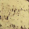 Love & Squalor Series