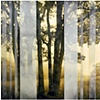 Variation on a Stripe - Diptych