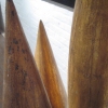 Sagita