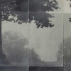 Clearing II