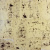 Love & Squalor Series