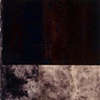 Love & Squalor Series