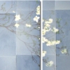 Dogwood