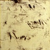 Love & Squalor Series