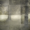 Untitled Diptych