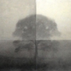 Centered