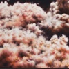 Amber Series No. 5, 2008