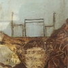 Organic Farm Series: No. 4