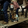 Rodeo