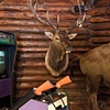 Elk Arcade