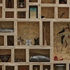 Cabinet to Hold my Sacred Objects