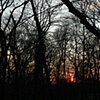 Picture of Park at Dusk