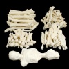 Pile of Bones / Re-workable Sculpture
