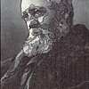 Olmsted Drawing