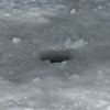 Classroom in snow storm