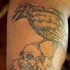 Crow on Skulls 