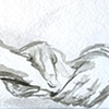 The Examination