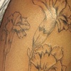 Carnation