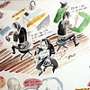 Visual Essays