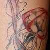 Jellyfishes