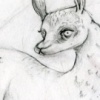 llamas