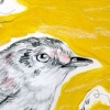 White Eyed Vireo