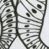 Natural History: 'unknown cell-like structure'