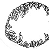 unknown (zero shaped cell) stage 11