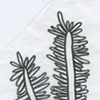 worm fern