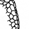 Natural History: 'unknown structure'