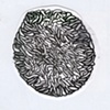 unknown (zero shaped cell) stage 12