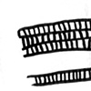 follicle reed