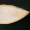 Lidded Jar