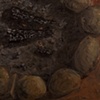 Campfires