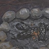 Last Embers